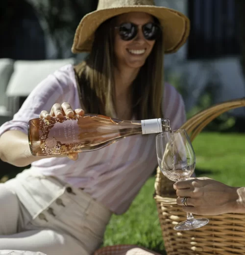 Picnic and Lounge 02